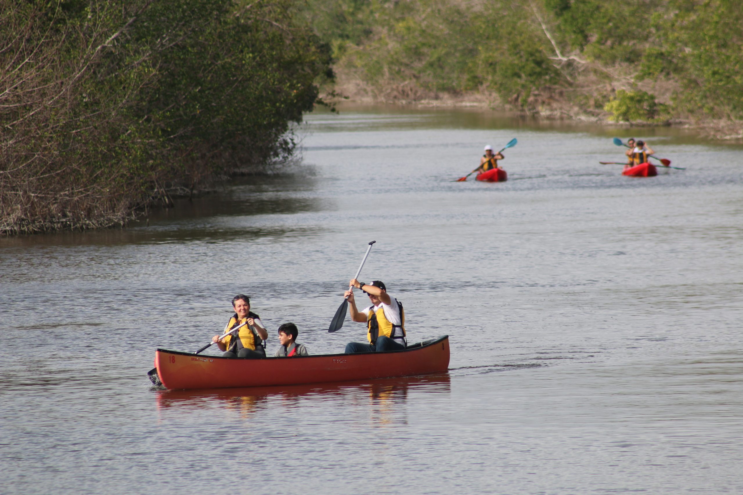 canoeing in flamingo