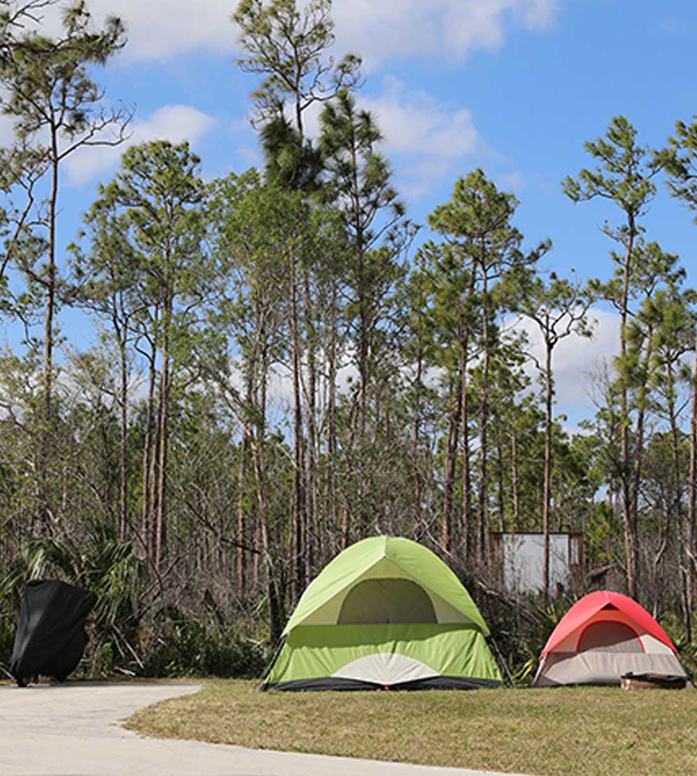 flamingo everglades tent camping