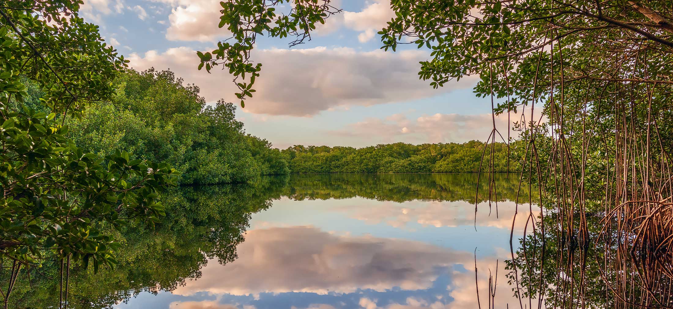 florida river