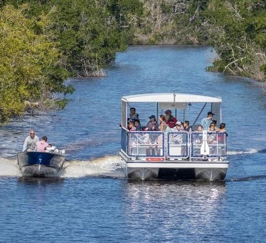 Flamingo Boat Rentals