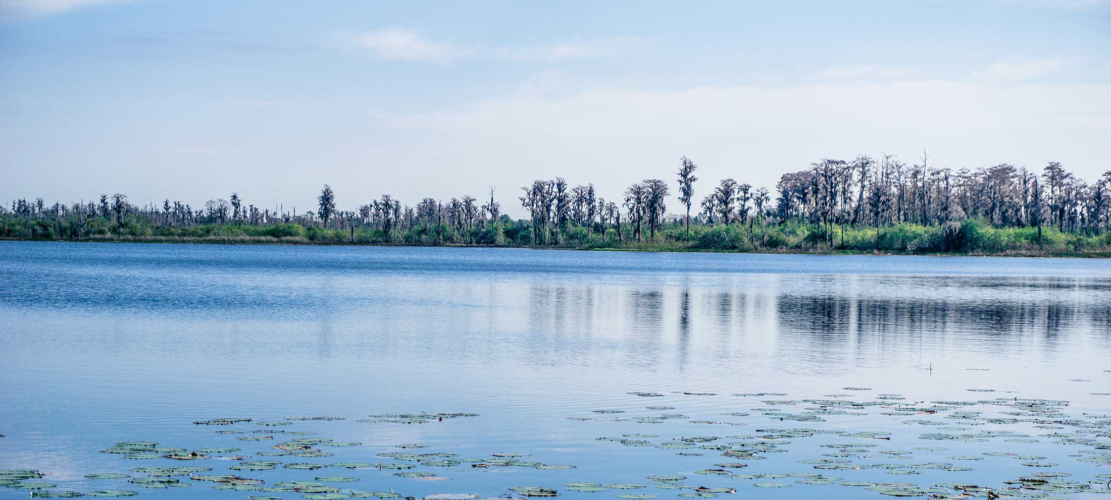 Flamingo Marina