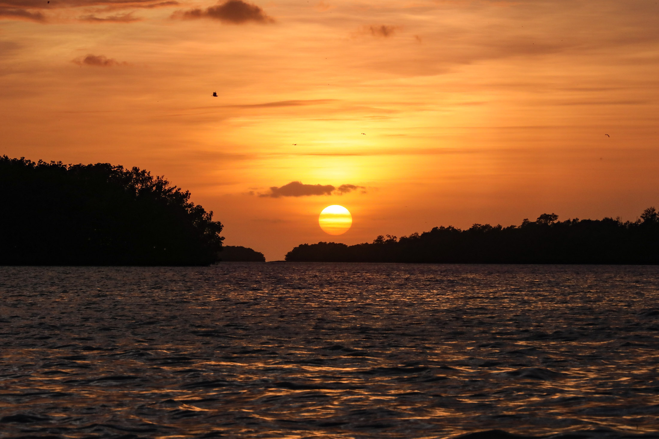 FlamingoLodge_Sunset on the Bay
