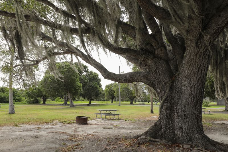 Everglades Camping