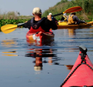Kayak in the Everglades National Park During Winter