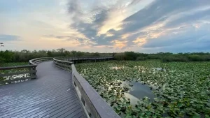 Everglades National Park in Winter