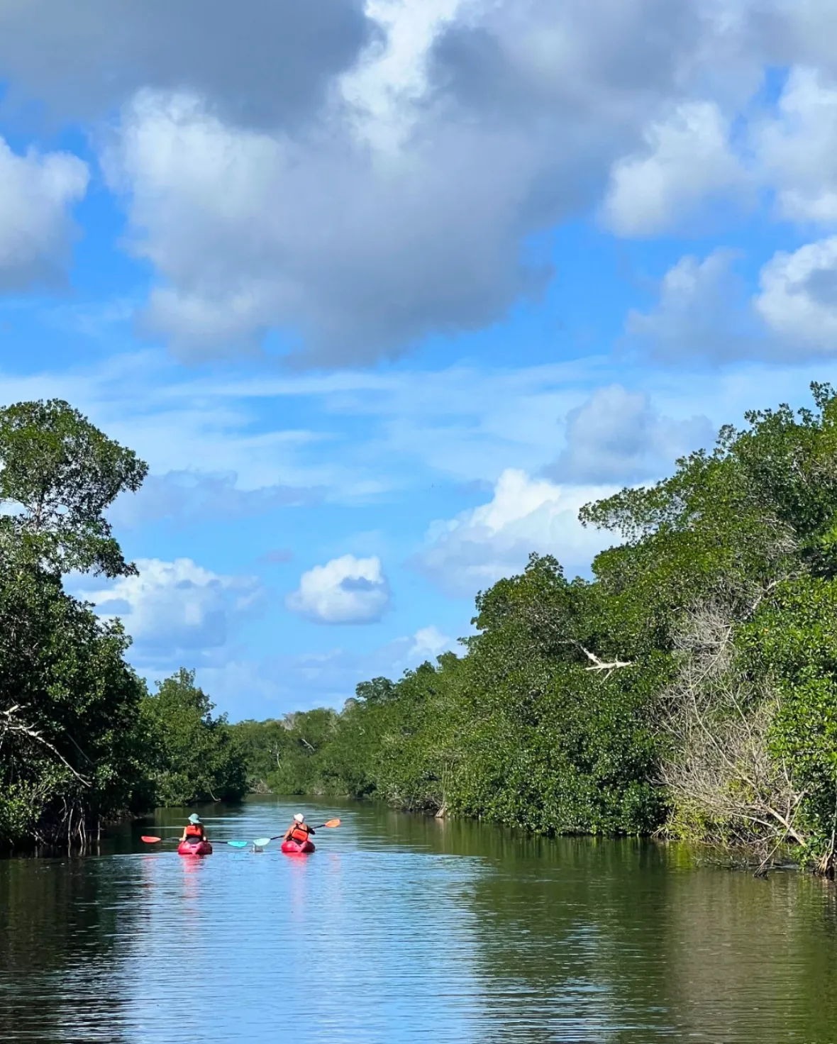Things to do at Flamingo Everglades