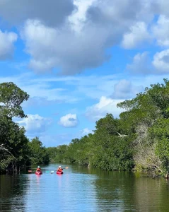 Everglades spring visit