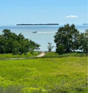 best time to visit Everglades National Park