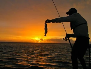 things to do Flamingo Florida