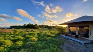 cheap Everglades lodging off season