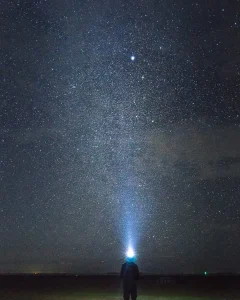 Stargazing in the Everglades