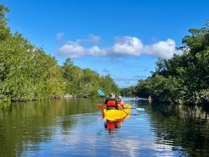 things to do Everglades summer