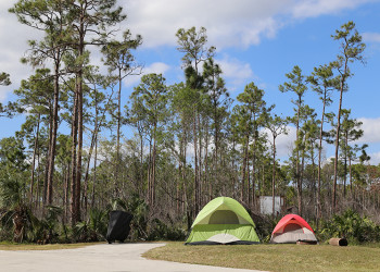 Flamingo Everglades Campsite