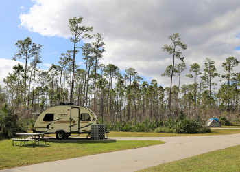 Flamingo Everglades Campsite