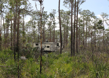 Flamingo Everglades RV Campsite