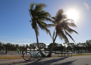 Flamingo Everglades Campsite