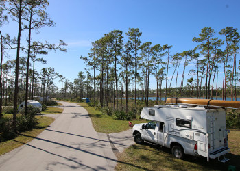 Flamingo Everglades RV Campsite