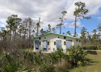 Flamingo Everglades Campsite
