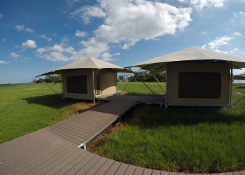 Eco Tents
